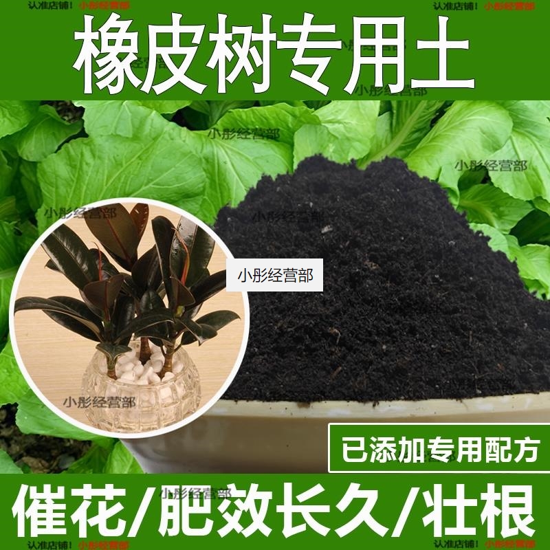 橡皮树专用土橡皮树专用营养土酸性土种植土通用土有机土肥料土壤