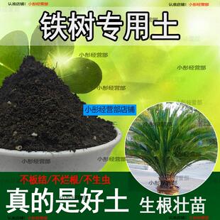 铁树专用土营养土透气通用土壤养花土壤家用种植土有机肥料培养土