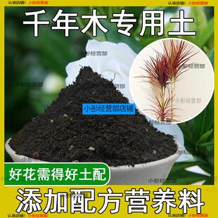 千年木专用土肥料盆栽土壤园艺养花育苗花土阳台千年木营养土蓬松