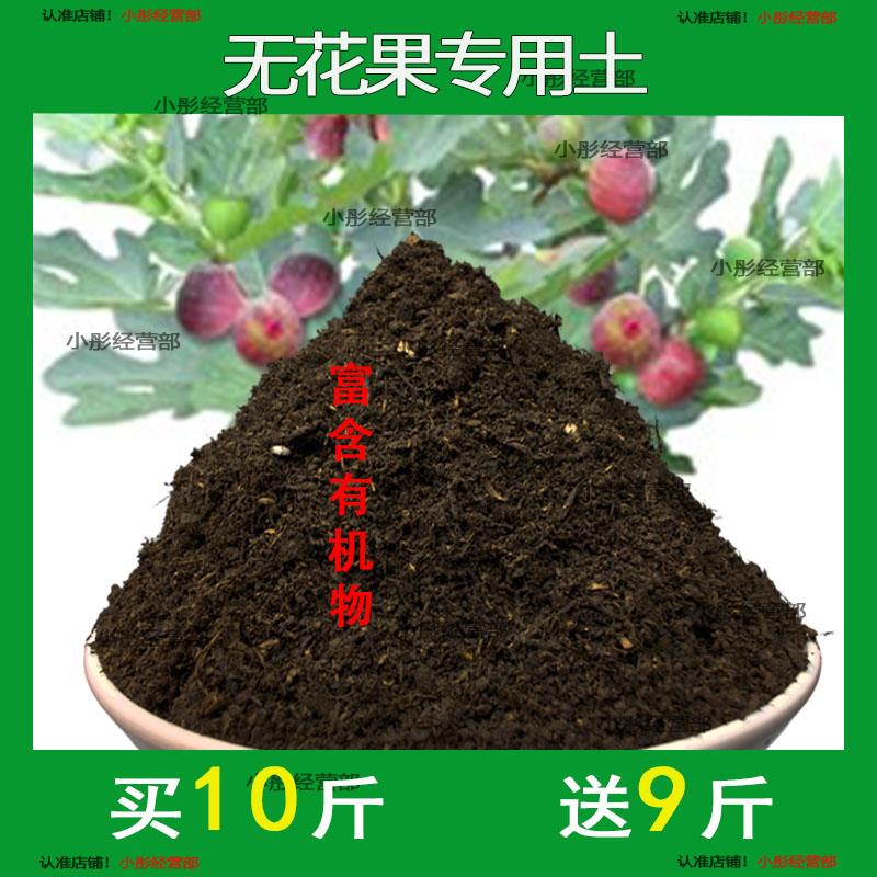 无花果专用土盆栽营养土果树专用土无花果营养土壤种植土有机肥料
