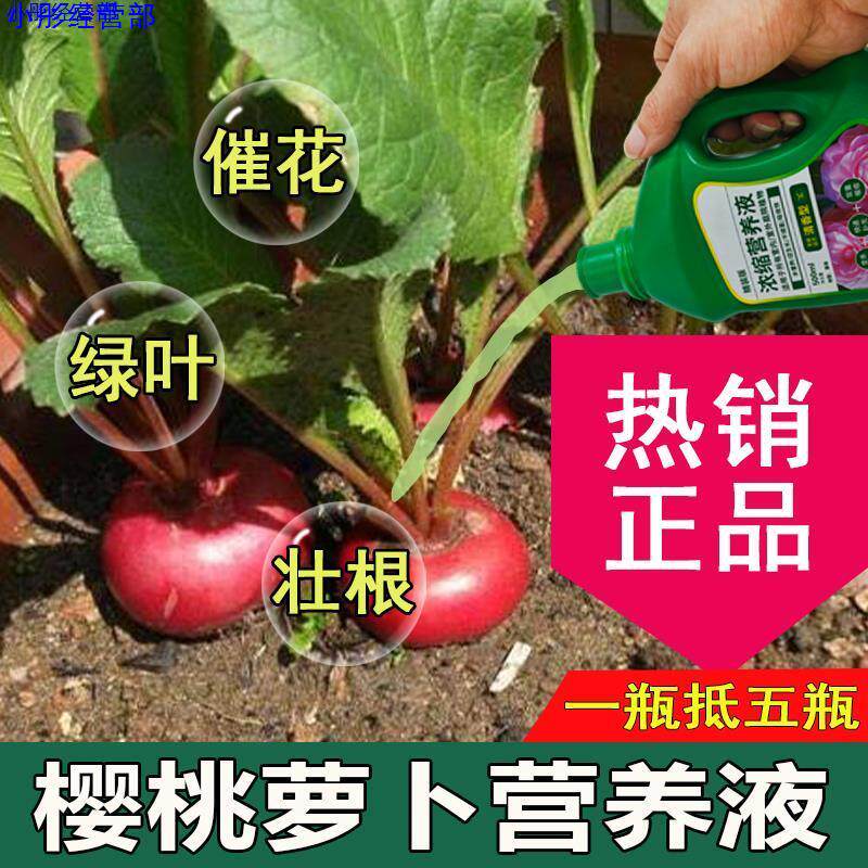 樱桃萝卜营养液通用型樱桃萝卜专用营养液花肥绿植水培花卉绿植肥