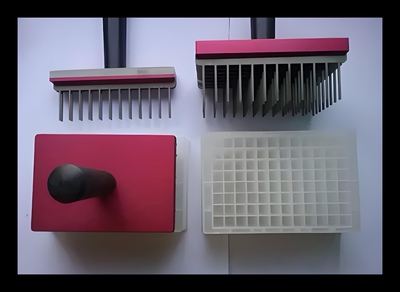 样品复制生物实验Labass经济实惠