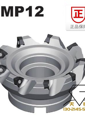 FMP12-100-B32-WN08-06 FMP12-063-A22-WN08-04C90铣刀盘株洲钻石