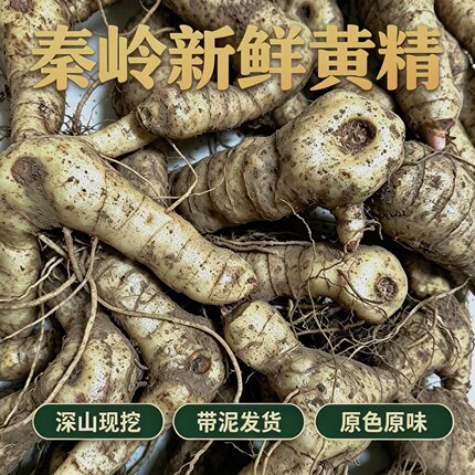 鲜黄精秦岭深山新鲜鸡头黄精农家现挖老虎姜煲汤生黄精初级农产品