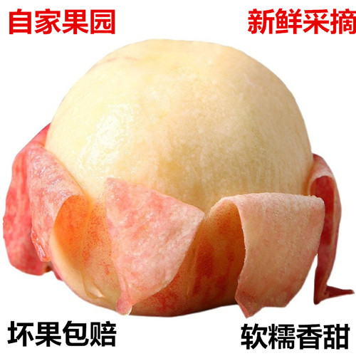 现摘新鲜水蜜桃5孕妇水果油黄整箱农家桃当应季毛桃子10脆甜斤