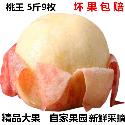 言言果园特大桃王5斤脆甜水蜜桃