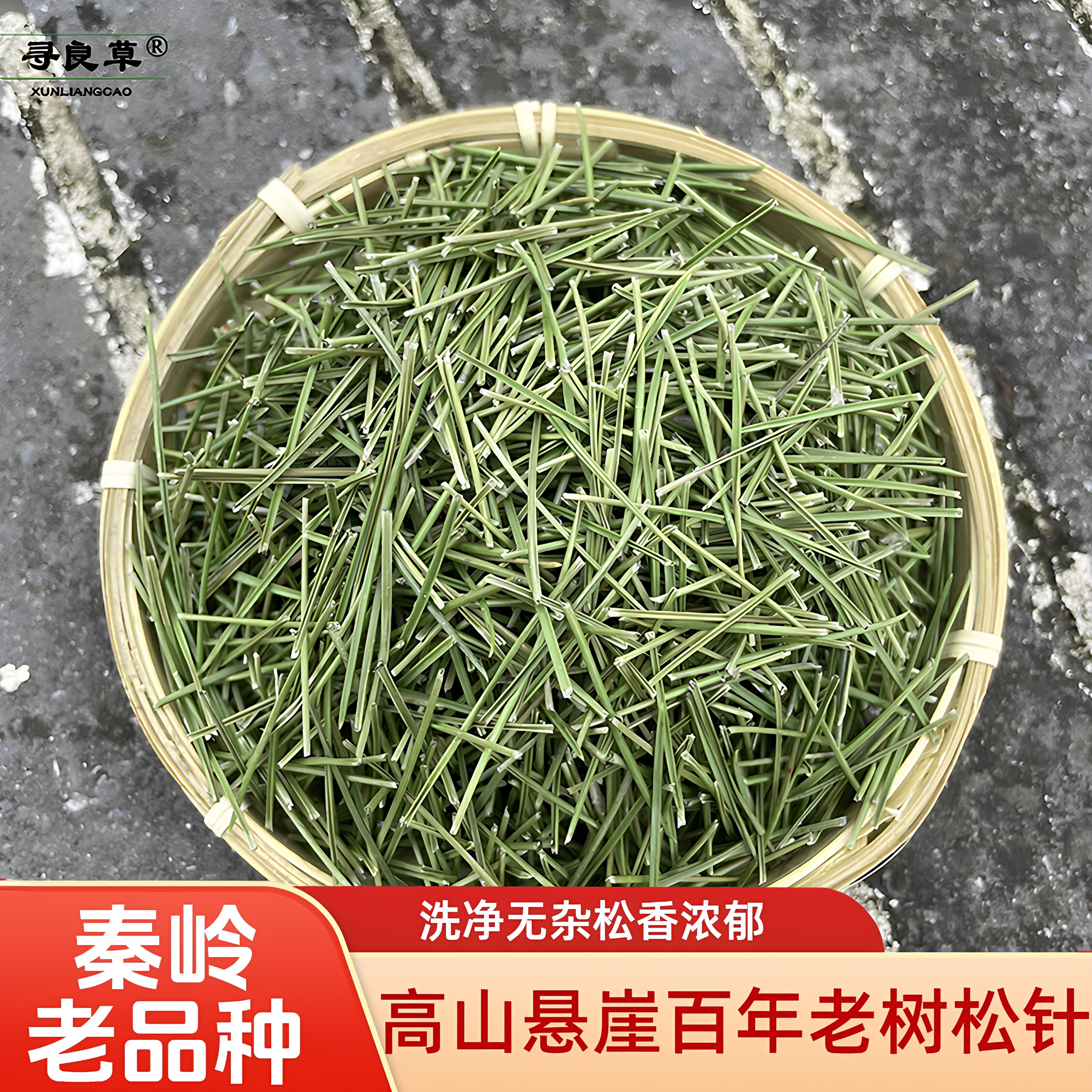 秦岭老树松针高山百年马尾松全松泡茶五针松250g克养生茶可磨粉