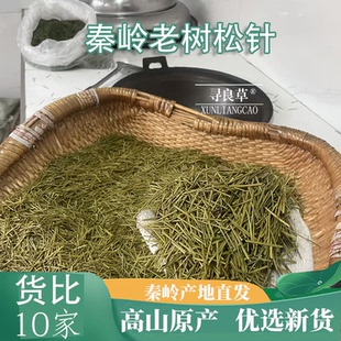 秦岭老树松针250克马尾松新货洗净无杂干松针全松可泡茶