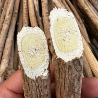 正宗黄芪整根北芪代切片滋补泡水煲汤新货子洲野外生存