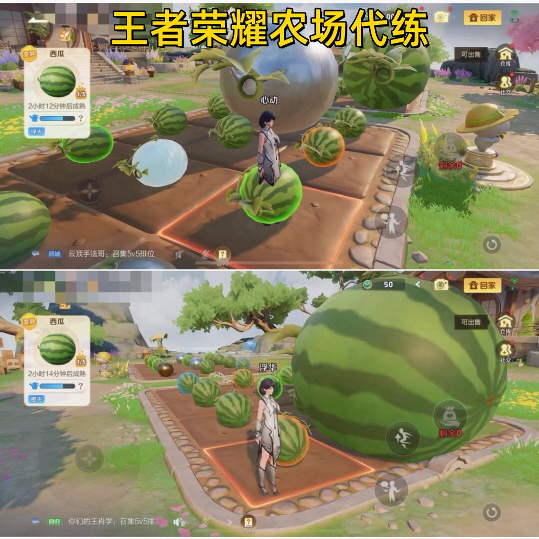 王者荣耀农场双端金币等级铭文巨大化西瓜柚子香蕉20倍祝福礼包