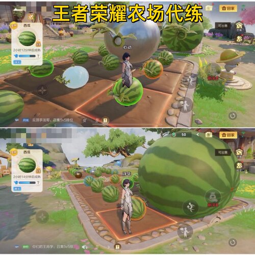王者荣耀农场代肝金币等级巨大化西瓜柚子香蕉20倍点满祝福包月