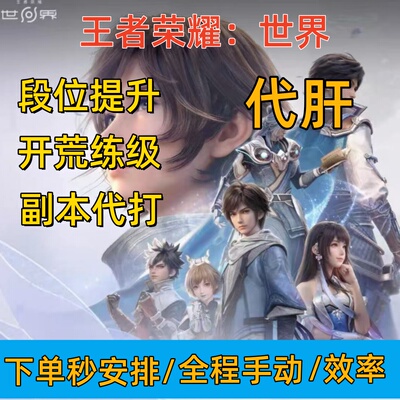 王者荣耀世界代练代肝等级刷金币铭文拿限定皮肤农场材料排位养号