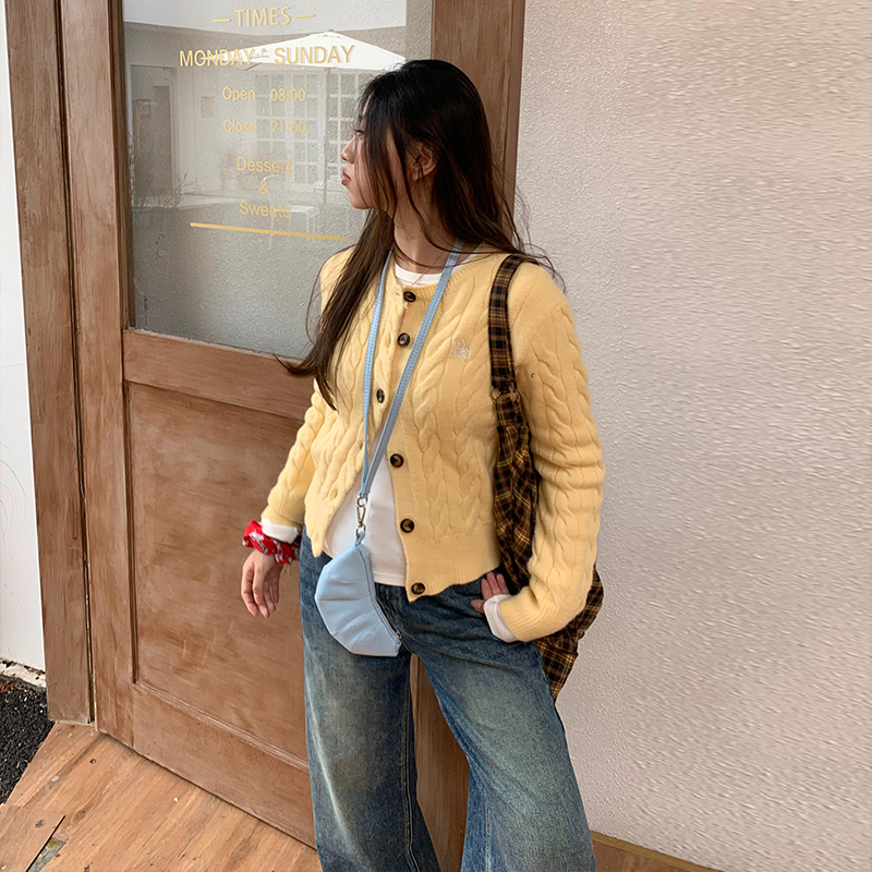 橘子树在哪儿韩系黄色麻花针织衫