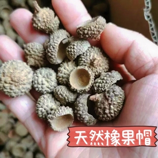森系天然橡子橡果装饰手工干花挂件干果圣诞布景幼儿园环创摆件