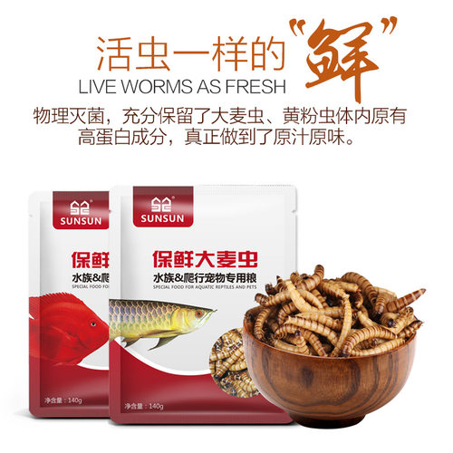 银龙鱼保鲜大麦虫鱼粮龙鱼饲料