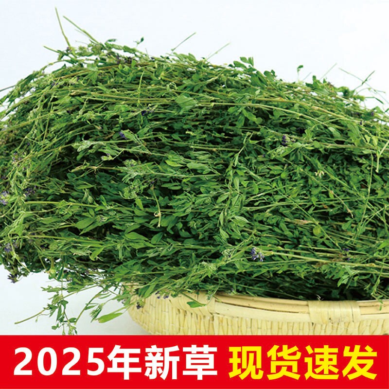 25年紫花苜蓿草1KG豚鼠荷兰猪龙猫兔子牧草饲料幼兔粮干草兔干草,宠物/宠物食品及用品,兔兔干草,淘宝优惠券,粉丝福利购,淘宝优惠卷