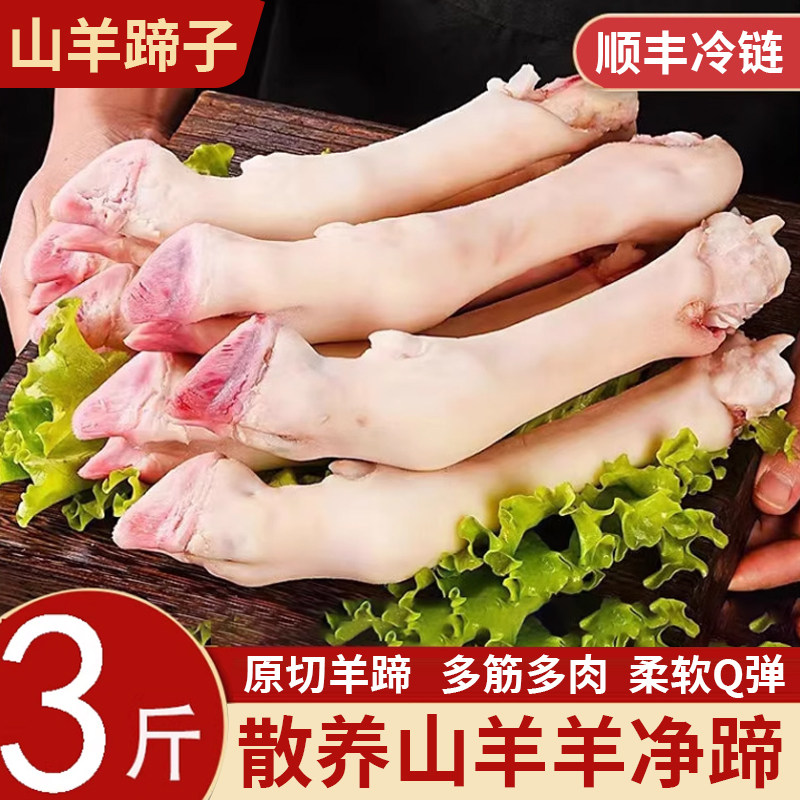 新鲜宰杀羊蹄子冷冻生羊蹄带筋小羊蹄羊脚散养羊爪羊肉可整箱批发