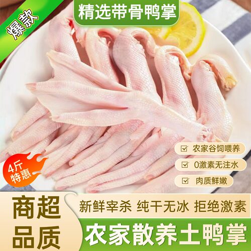 新鲜带骨鸭爪子鸭掌冷冻批发
