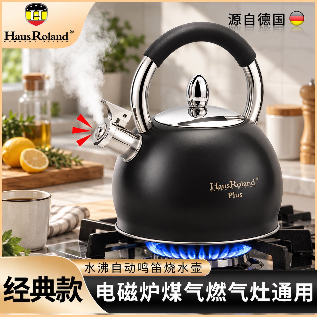 HausRoland家用大容量烧水壶 防干烧鸣笛开水壶 电磁炉煤气灶通用