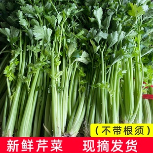 西芹菜新鲜贵州农家自种芹菜榨汁沙拉蔬菜四季西芹旱芹香菜嫩菜心