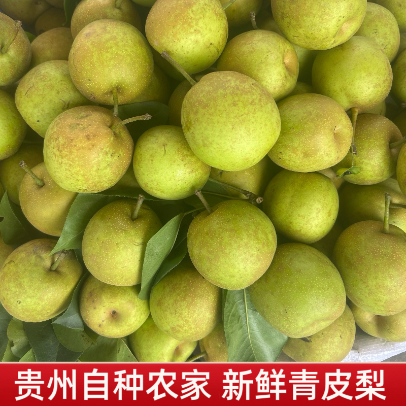 贵州农家自种水果梨子新鲜青皮梨子当季翠冠梨香酥脆蜜苹果梨整箱