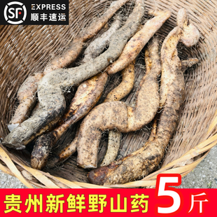 贵州特产野外生长山药新鲜5斤白玉山药山菜山芋毛署非铁棍山药