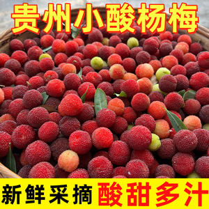 （顺丰）贵州高山小红杨梅新鲜紫杨梅现摘当季生吃酸甜孕妇水果