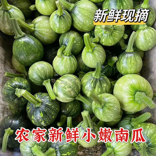 贵州迷你小南瓜青瓜嫩瓜清甜可口