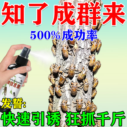 【闻味来】抓知了神器引诱金蝉出土专用药爬叉猴捕捉高浓度喷雾剂