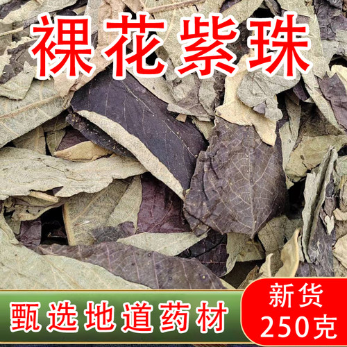 广西裸花紫珠叶250克中药材别名赶风柴 节节红 饭汤叶 马鞭草科