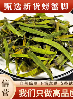 云南螃蟹脚500古茶树寄生茶正宗特级螃蟹脚枫香槲寄生批发