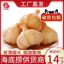 姜老大糖醋蒜糖蒜泡菜腌泡大蒜头山东金乡甜蒜自制农家咸菜下饭菜