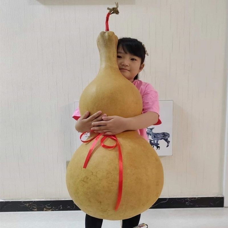 天然葫芦大号招财福禄客厅摆件中葫芦