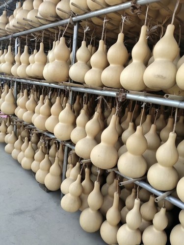 天然葫芦摆件文玩手把件门对门家居客厅装饰挂件大号真葫芦带龙头