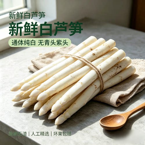 山东曹县 新鲜特级白芦笋 现挖现发 通体纯白无青头 脆嫩当季蔬菜