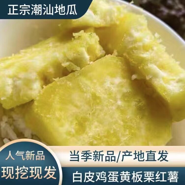 农家现挖白皮鸡蛋黄粉地瓜