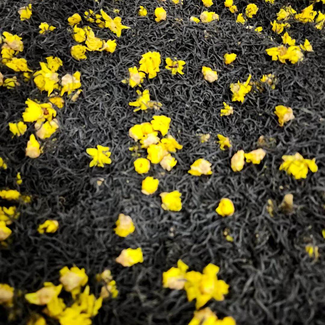 腊梅红茶正常发货2026杭州特产腊梅九曲幽香冷香鲜花窨