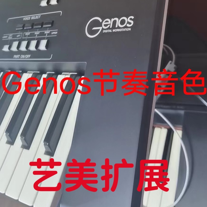 雅马哈Genos电子琴节奏音色扩展包U盘