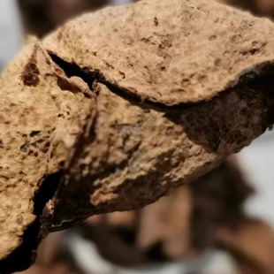 43年新会梅江大红老陈皮 1982年 新会老柑皮 镇店之宝 鼎雄