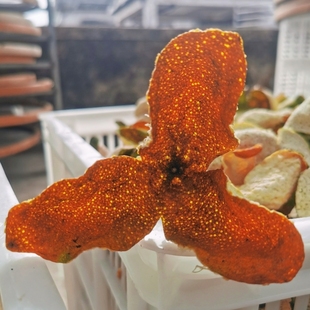 鼎雄农家直销3年陈新会陈皮 东甲 梅江 天马 小冈大红皮 原枝圈枝