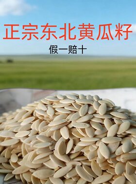 东北黄瓜籽正品生的补钙熟的接骨
