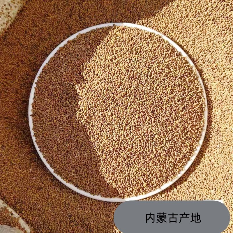 野生菟丝子茶内蒙古滋补类中药材正品干货养生韭菜籽红枸杞黄芪片