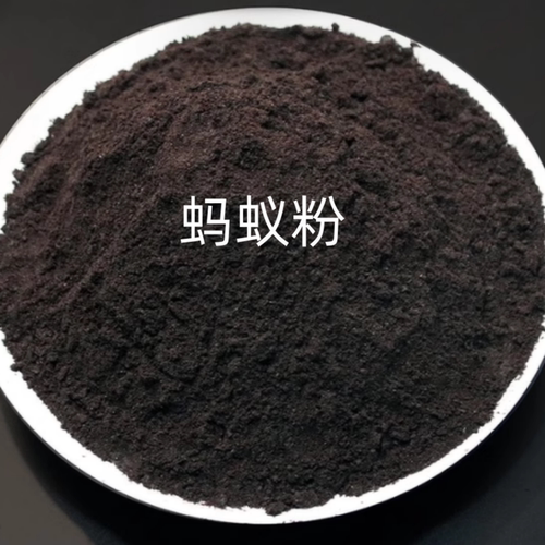 大兴安岭直发野生蚂蚁泡酒泡水