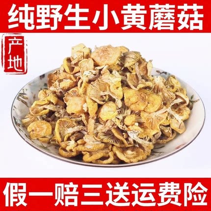 东北小黄蘑菇野生干货小菇香菇兴安盟小鸡炖蘑菇黄油蘑内蒙古新品