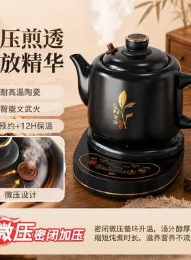 微压萃取中药专用电煎壶分体式砂锅电煎药壶全自动煎药2026新款