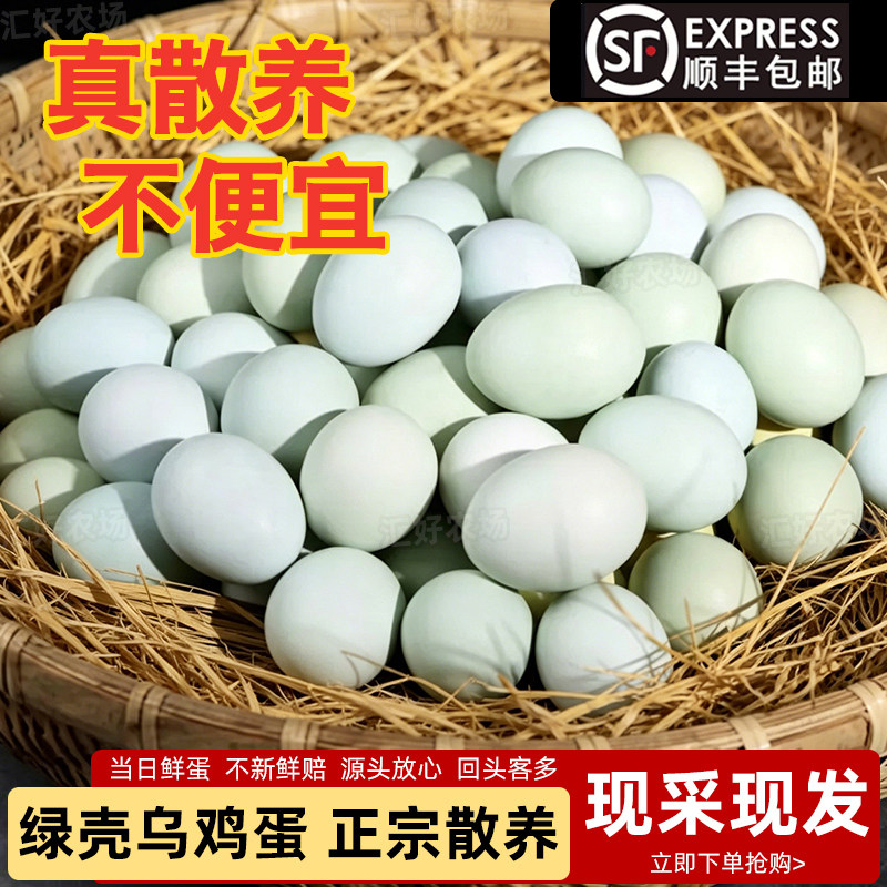 乌鸡蛋正宗桃林散养乌鸡产绿壳土鸡蛋谷物鲜鸡蛋新鲜批发整箱鸡蛋