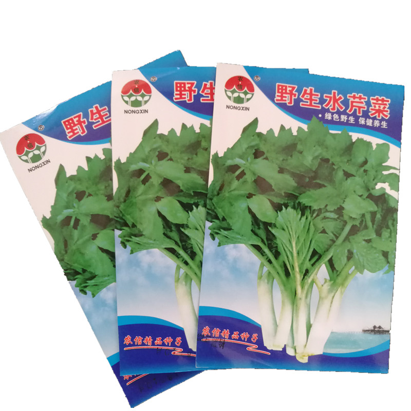 东北野生老山芹种子水芹菜山野菜黑瞎子芹种籽种苗盆栽山芹菜四季