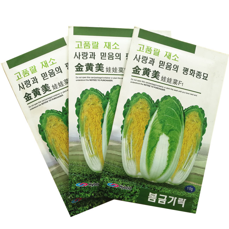 韩国金黄美红金宝娃娃菜种子黄芯黄叶小白菜种籽早熟蔬菜种孑四季