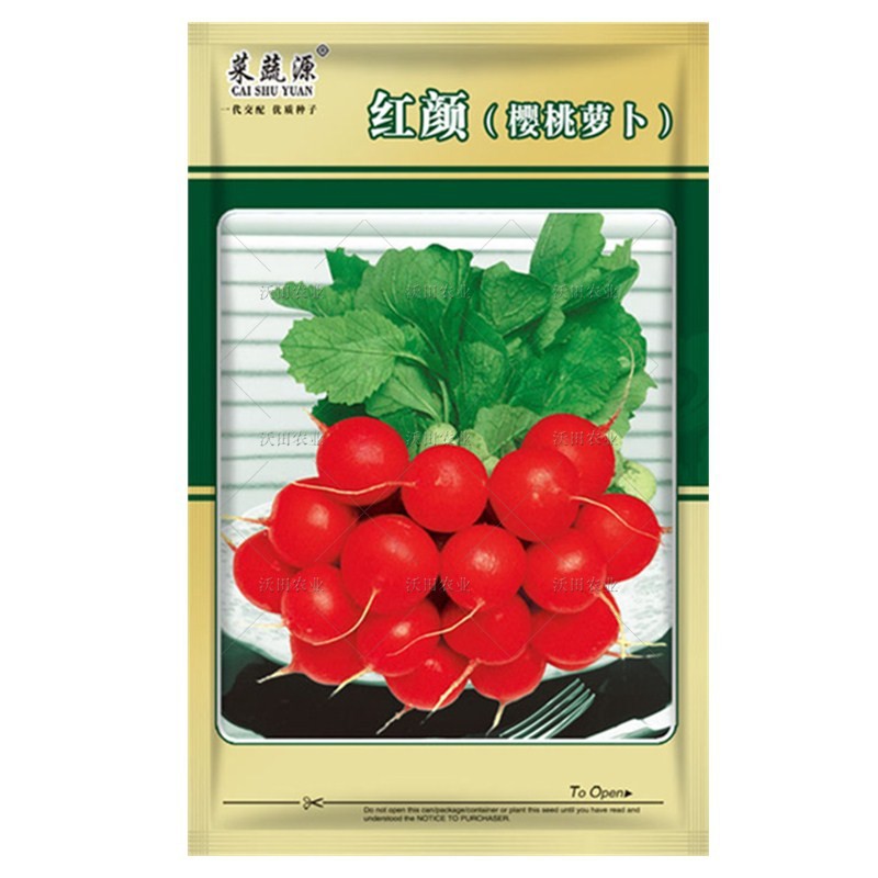 菜蔬源不开花口感好萝卜生长快脆