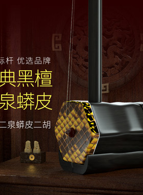 闻韶黑檀蟒皮二泉琴终身保修